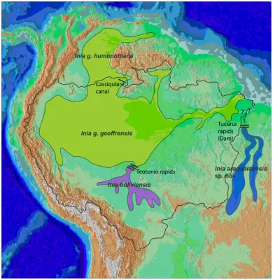 Amazon River Dolphin habitat map