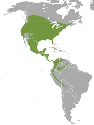 Long-Tailed Weasel habitat map