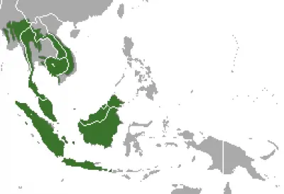 Sunda Pangolin habitat map