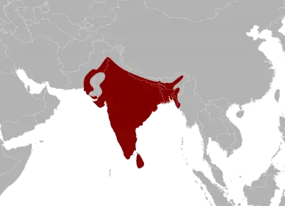 Indian Python habitat map