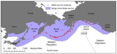 Steller Sea Lion habitat map