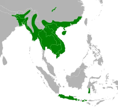 Burmese Python habitat map
