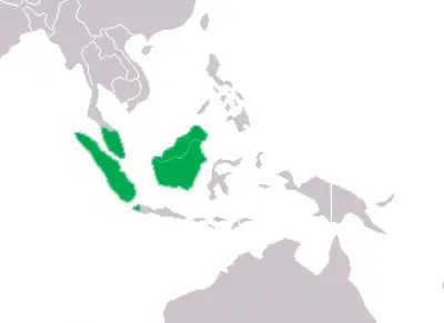 Tomistoma habitat map