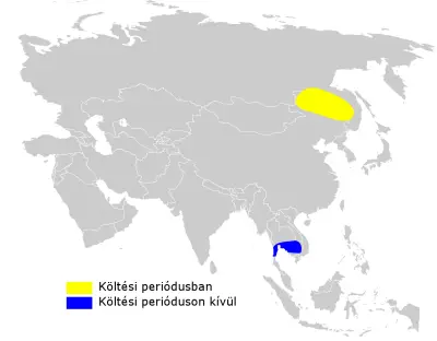 Manchurian reed warbler habitat map