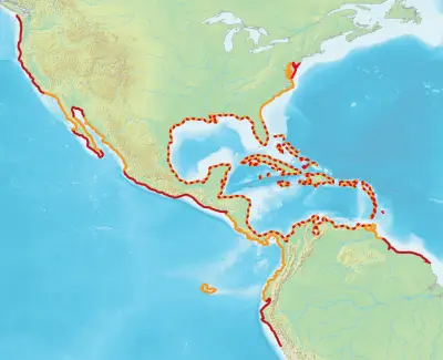 Пелікан бурий карта середовища проживання