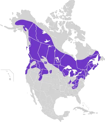 Grévol engolado mapa del hábitat
