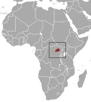 African dusky shrew habitat map