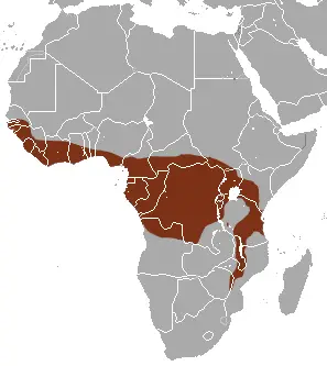 African Palm Civet habitat map
