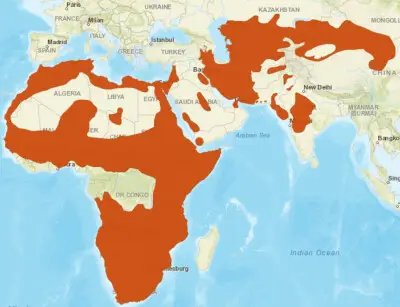 African wildcat habitat map