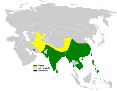 Oriental skylark habitat map