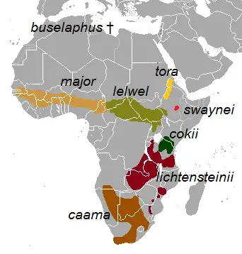 Bubal hartebeest habitat map