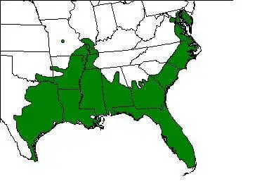 American green tree frog habitat map
