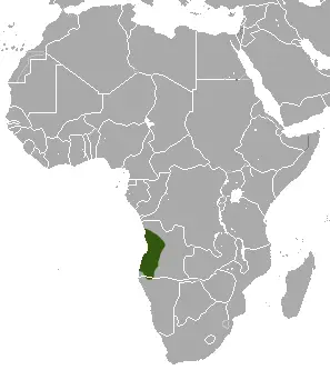Angolan epauletted fruit bat habitat map