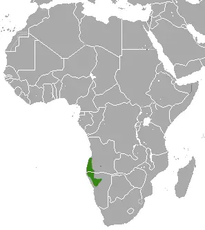 Angolan slender mongoose habitat map