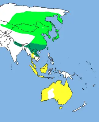 Pacific Swift habitat map