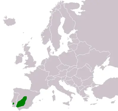 Spanish imperial eagle habitat map