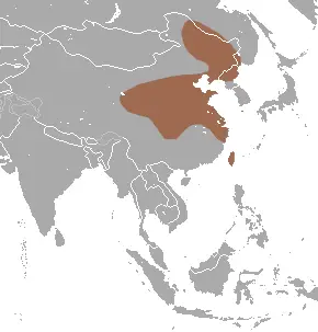 Asian lesser white-toothed shrew habitat map