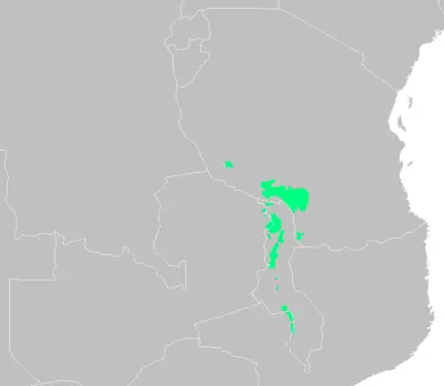 Chapin's apalis habitat map