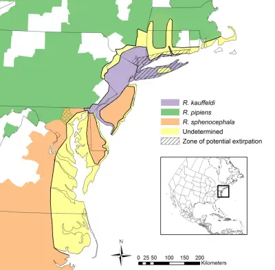 Atlantic Coast leopard frog habitat map