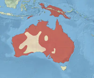 Australasian darter habitat map
