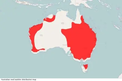 Australian reed warbler habitat map