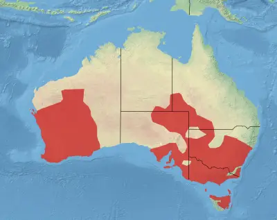 Australian shelduck habitat map