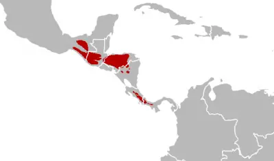 Resplendent Quetzal habitat map