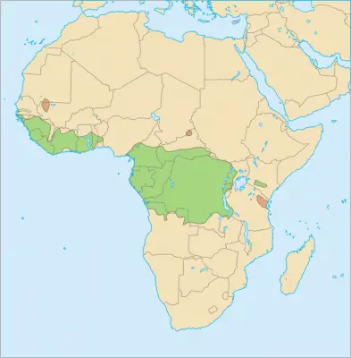 African Golden Cat habitat map