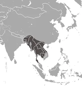 Bengal slow loris habitat map