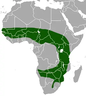 Bicolored musk shrew habitat map