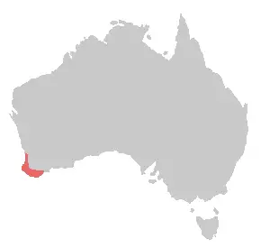 Baudin's black cockatoo habitat map