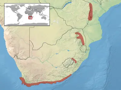 Berg adder habitat map