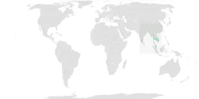 Black baza habitat map