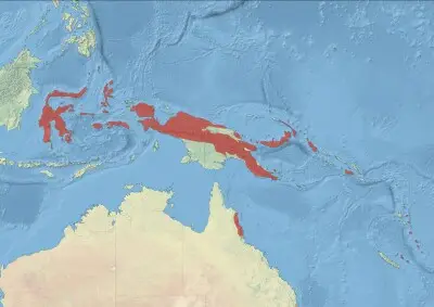 Blue-faced parrotfinch habitat map