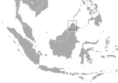 Bornean ferret-badger habitat map