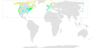 Казарка чорна карта середовища проживання