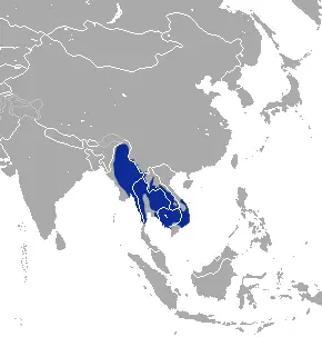 Burmese hare habitat map