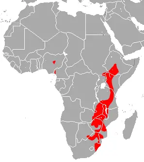 Bushveld horseshoe bat habitat map