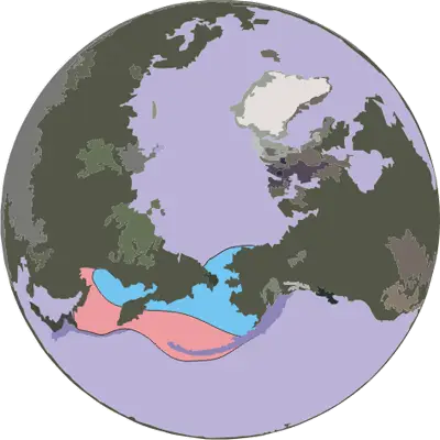 Ribbon Seal habitat map