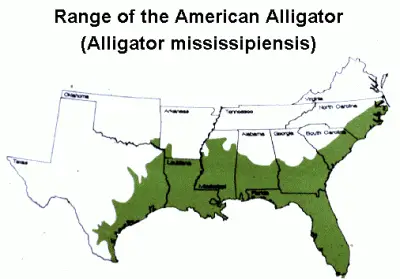 American Alligator habitat map