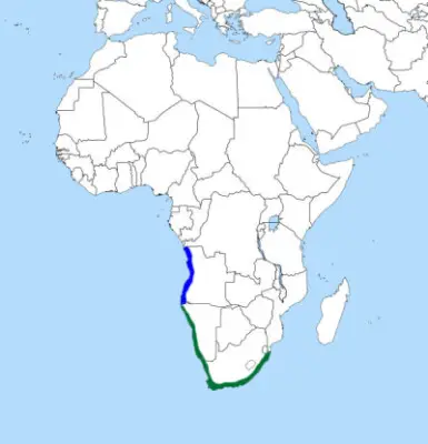 Cape cormorant habitat map