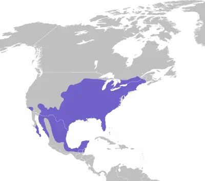 Northern Cardinal habitat map
