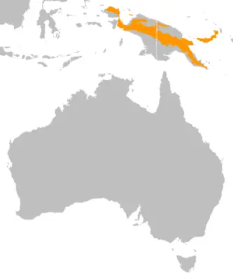 Dwarf cassowary habitat map