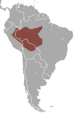 Peruvian Spider Monkey habitat map