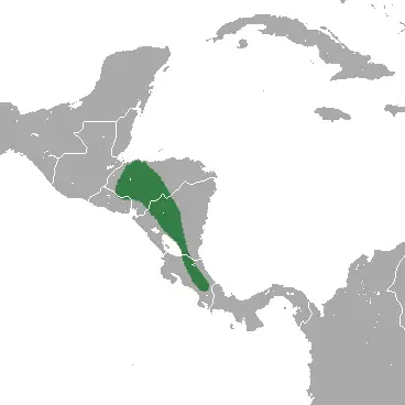 Central American least shrew habitat map
