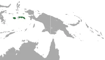 Pteropus ocularis карта середовища проживання