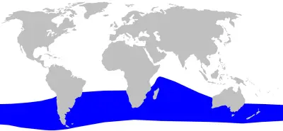 Gray's beaked whale habitat map