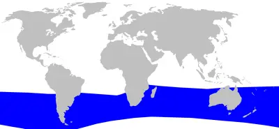 Hector's beaked whale habitat map