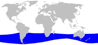 Strap-toothed whale habitat map