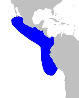 Pygmy beaked whale habitat map